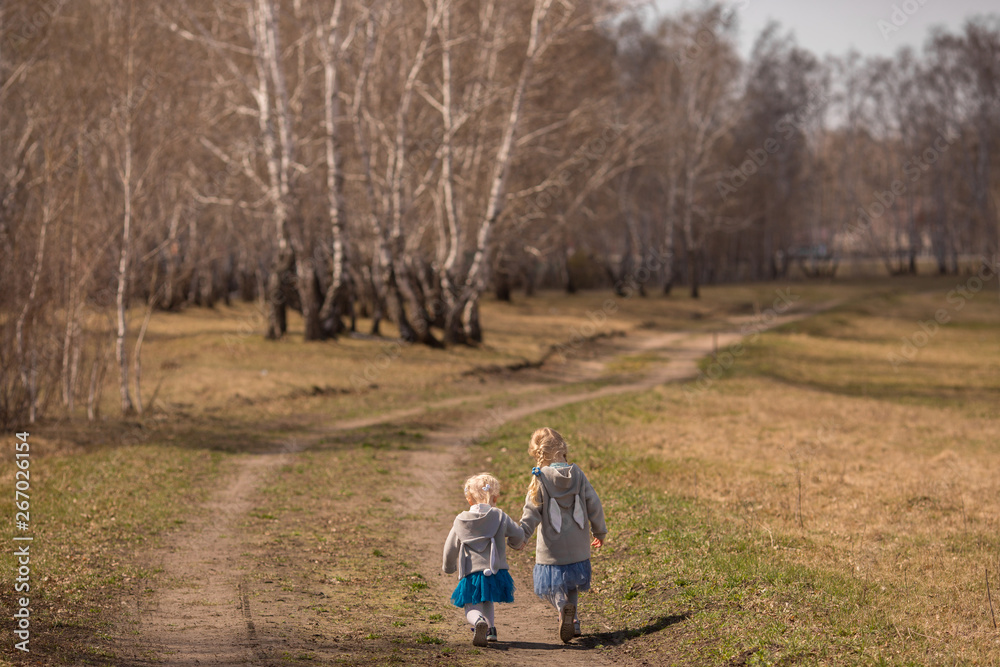 Fototapeta premium girlfriends walk in a birch forest of Russia