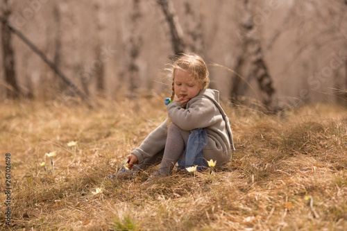 the baby found primroses in the birch grove of Russia