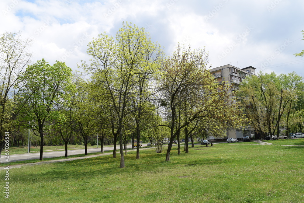 View of the green Park in the city. View of the green Park in the city.