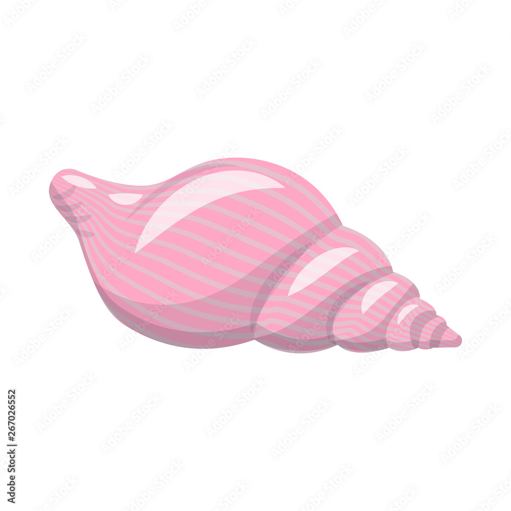 Vector illustration of seashell and mollusk logo. Set of seashell and seafood stock vector illustration. Vector illustration of seashell and mollusk logo. Set of seashell and seafood stock vector illustration.