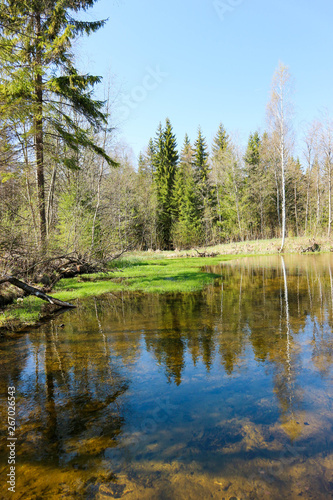 Spring view of the small river in the forest