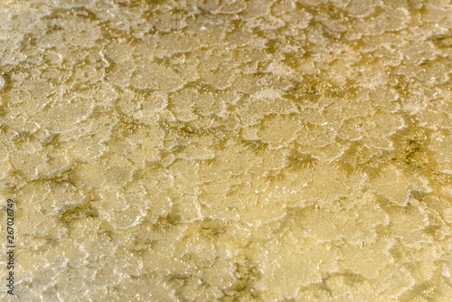 Crystals salt on Sambhar Salt Lake. India