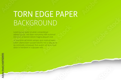 Torn edge paper colorful background. Page or card vector template.