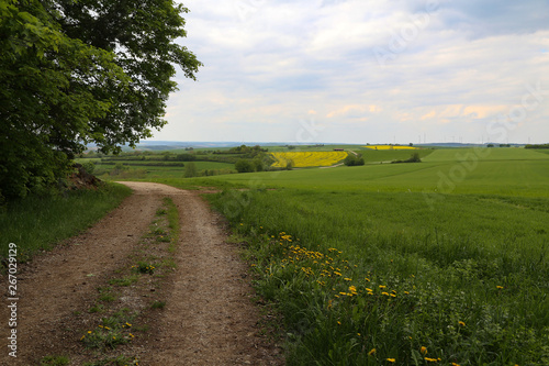 Spring Landscape. Field road among Meadows and fields.