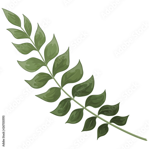 Art watercolor natural branches leaves elements. Vector illustration .