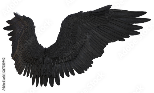 3D Rendered Black Fantasy Angel Wings on White Background - 3D Illustration