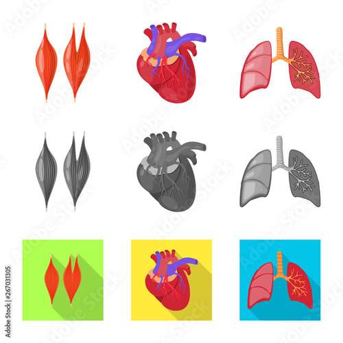 Vector illustration of biology and scientific sign. Set of biology and laboratory vector icon for stock.