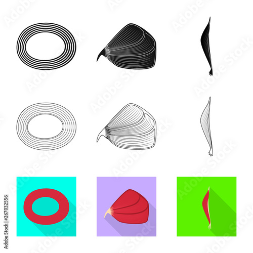 Isolated object of fiber and muscular sign. Collection of fiber and body  stock symbol for web.