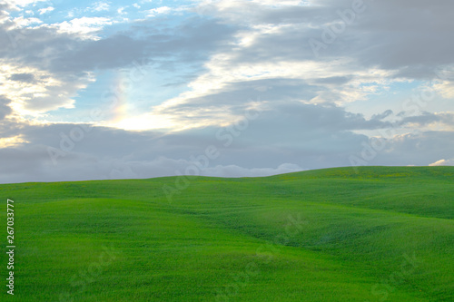 The landscape of Val d'Orcia: green meadows and cypresses at sunset. Hills of Tuscany. Val d'Orcia landscape in spring