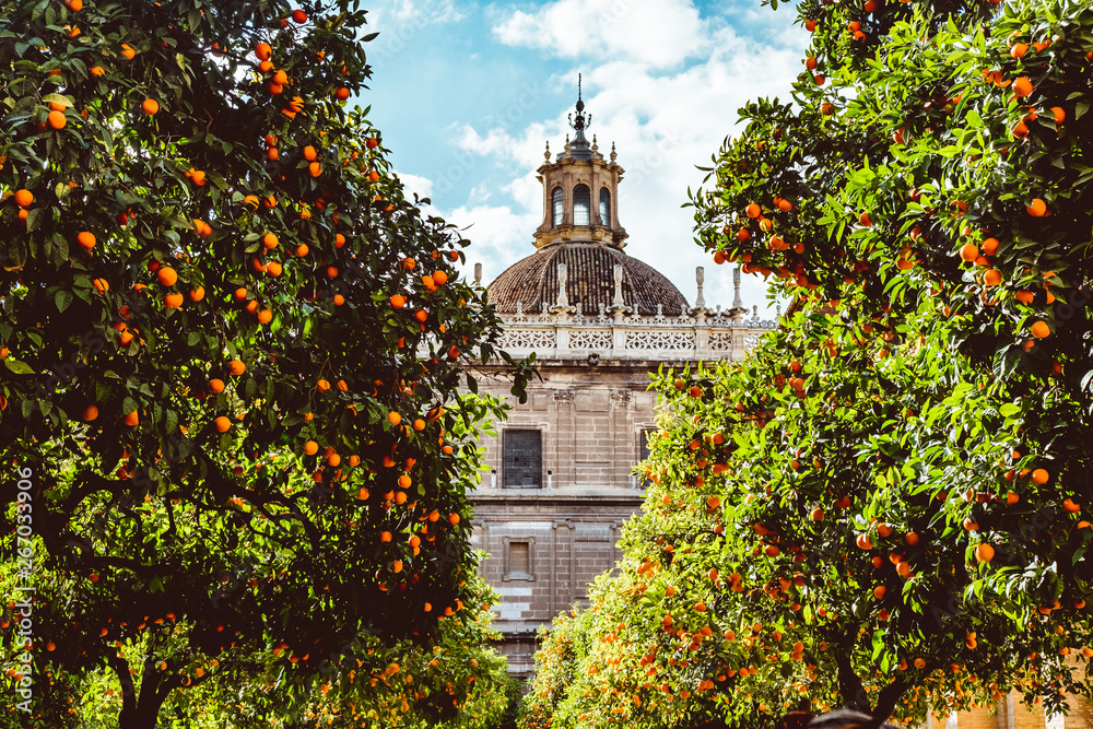 Obraz premium Spain, Andalusia, Seville, the Cathedral bell tower seen from the orange tree courtyard