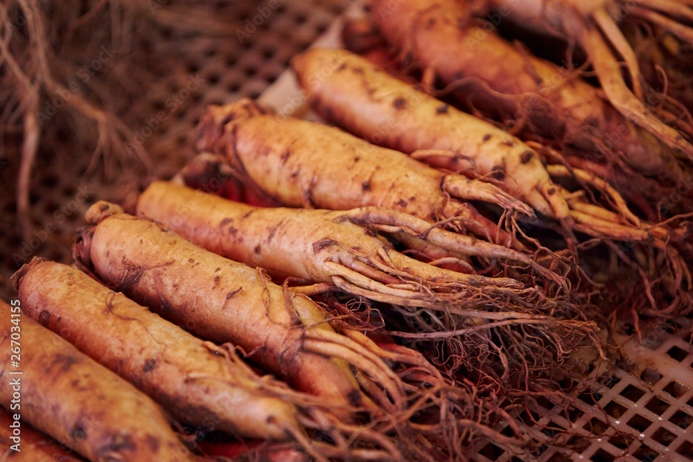 Ginseng root at Chinese herbal medicine market Ginseng root at Chinese herbal medicine market