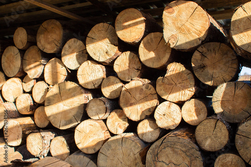 A large pile of logs folded under a wooden canopy
