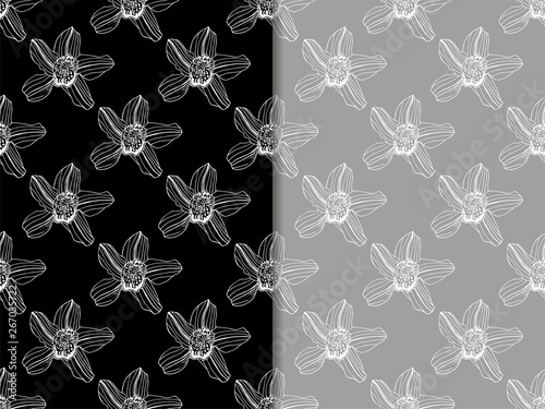 seamless pattern with orchid flower
