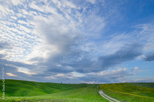 The landscape of Val d Orcia. Hills of Tuscany. Val d Orcia landscape in spring