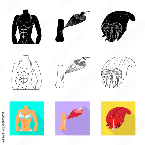 Isolated object of fiber and muscular sign. Set of fiber and body  stock symbol for web.