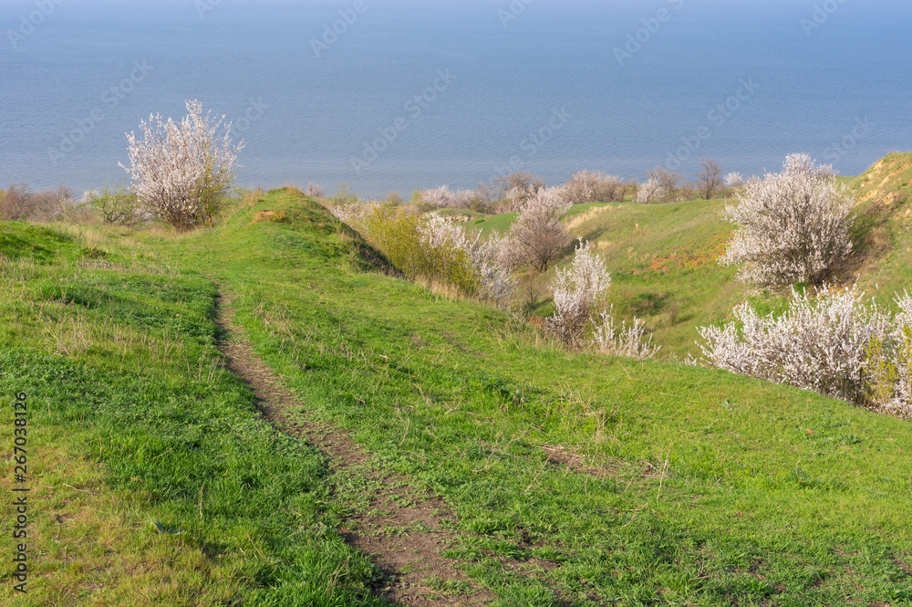 Obraz premium Spring landscape foot path leading down to Kakhovka Reservoir riverside located on the Dnipro River near Skelki village, Ukraine