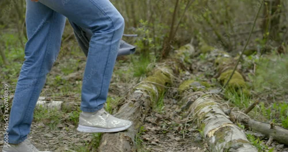 walk through the green forest. woman legs in jeans and shoes. Concept: perennial plant, trees, save the planet, living plants, life roots, energy walk through the green forest. woman legs in jeans and shoes. Concept: perennial plant, trees, save the planet, living plants, life roots, energy