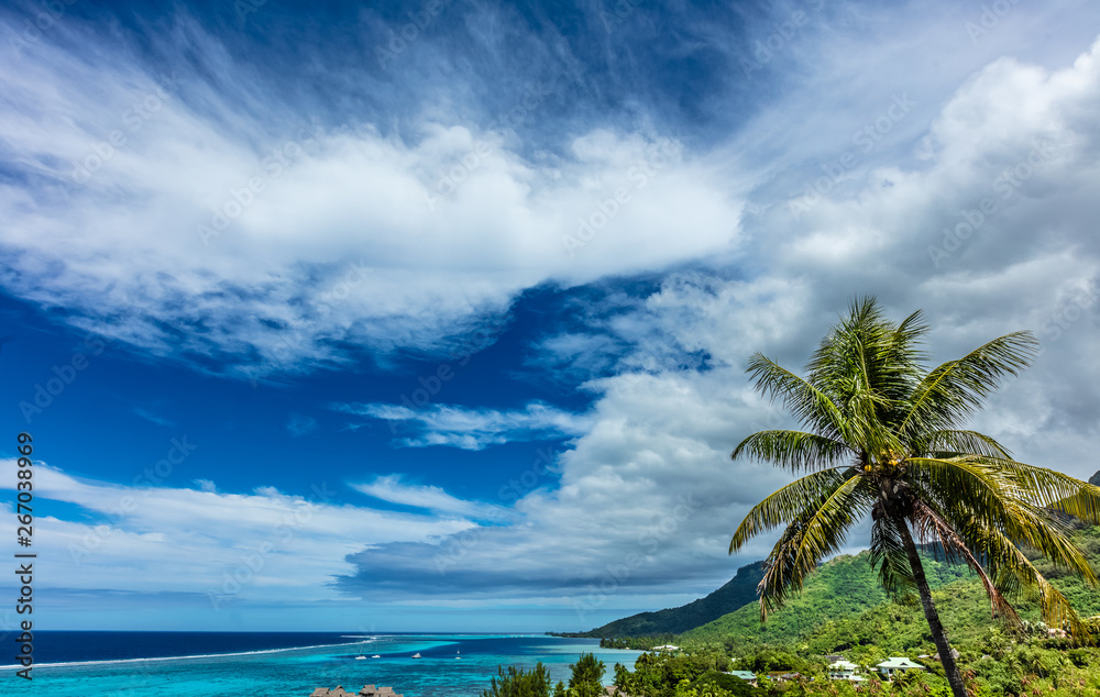 paysage de l 'île de Moorea