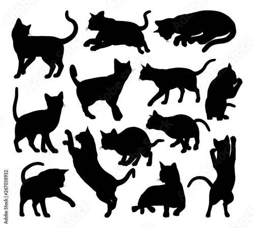 A cat silhouettes pet animals graphics set 