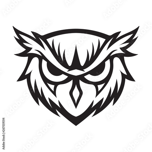 owl line art design illusration concept