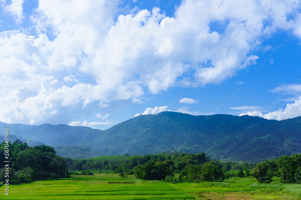 Beautiful forest and mountain in Thailand with white fluffy clouds in the blue sky day in background with copy space. For landscape.