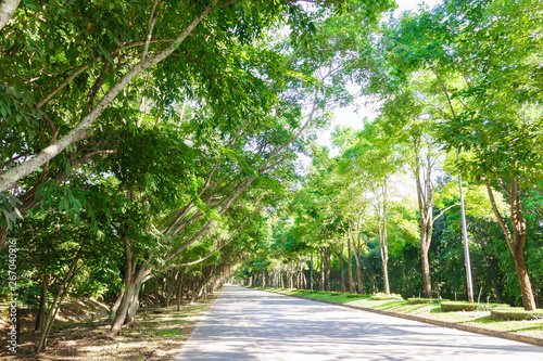 Asphalt road are garden tree and forest in Thailand with green grass with copy space. For background and landscape.