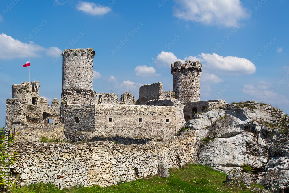 Ruins of the castle Ogrodzieniec - Poland