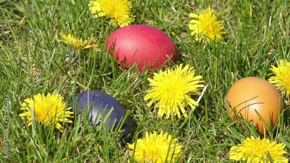 colorful Easter eggs lying on meadow colorful Easter eggs lying on meadow