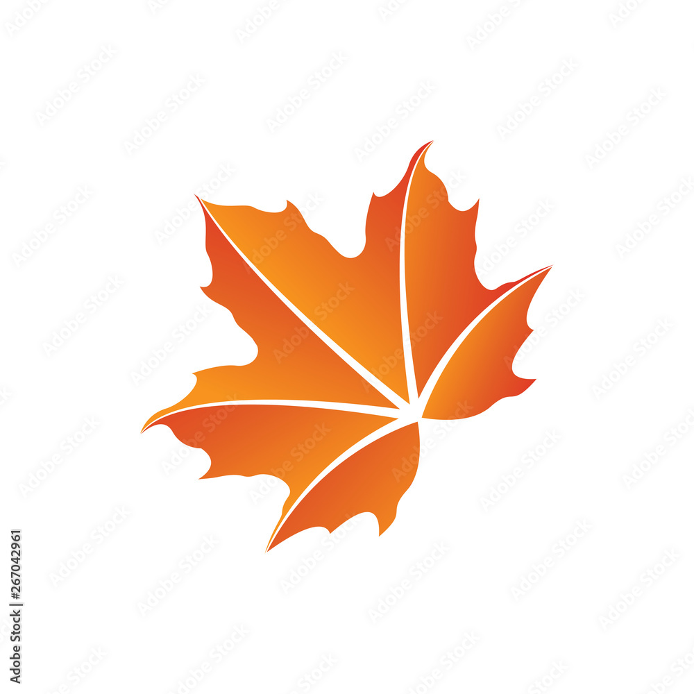 Obraz premium Designer