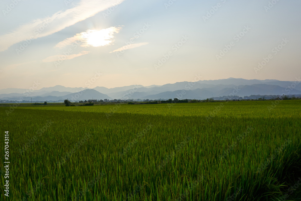 Landscape of nature in Dien Bien Phu North Vietnam.