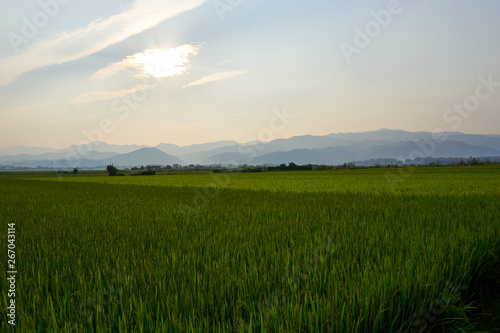 Landscape of nature in Dien Bien Phu North Vietnam.