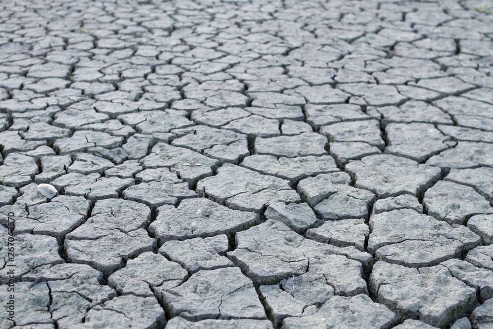 yellow dry land - drought