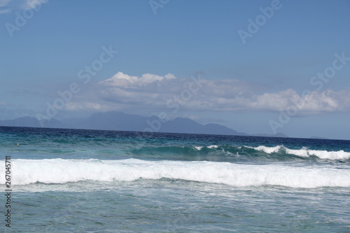 seychelles beach private island coconut