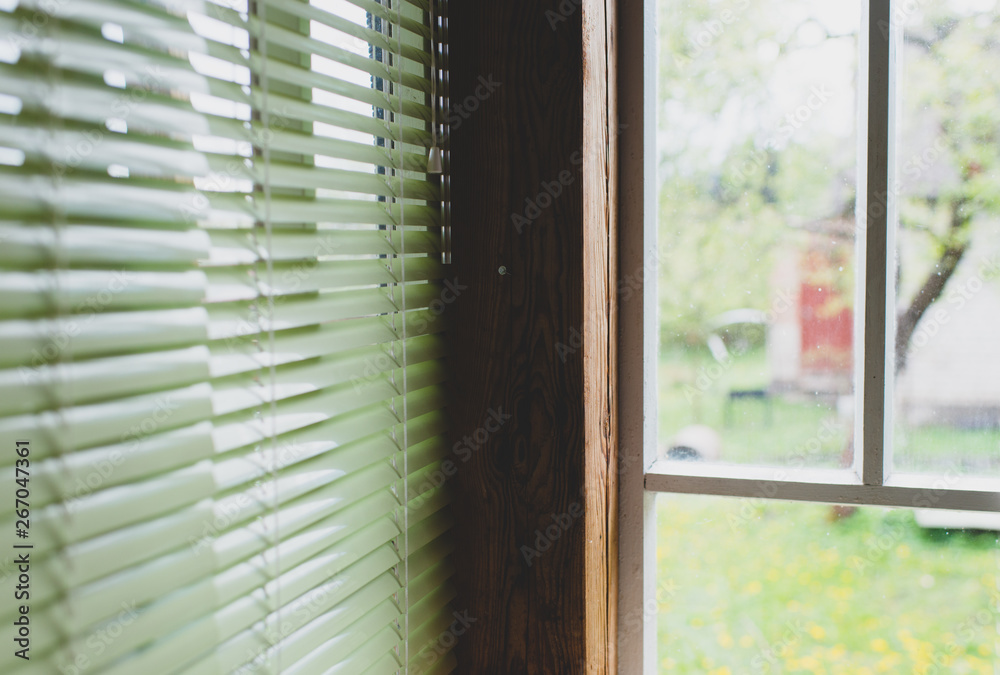 window with green blinds window with green blinds
