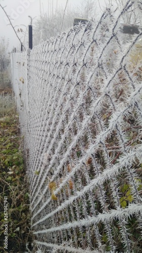 Ice needles on the fence, Kaluchy fence.
