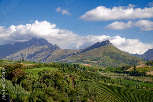 Vineyards, forests and mountains in summer, near Stellenbosch, South Africa