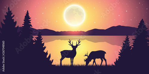 two reindeers by the lake at night with full moon and starry sky nature landscape vector illustration EPS10