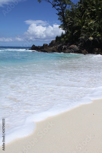 seychelles beach private island coconut