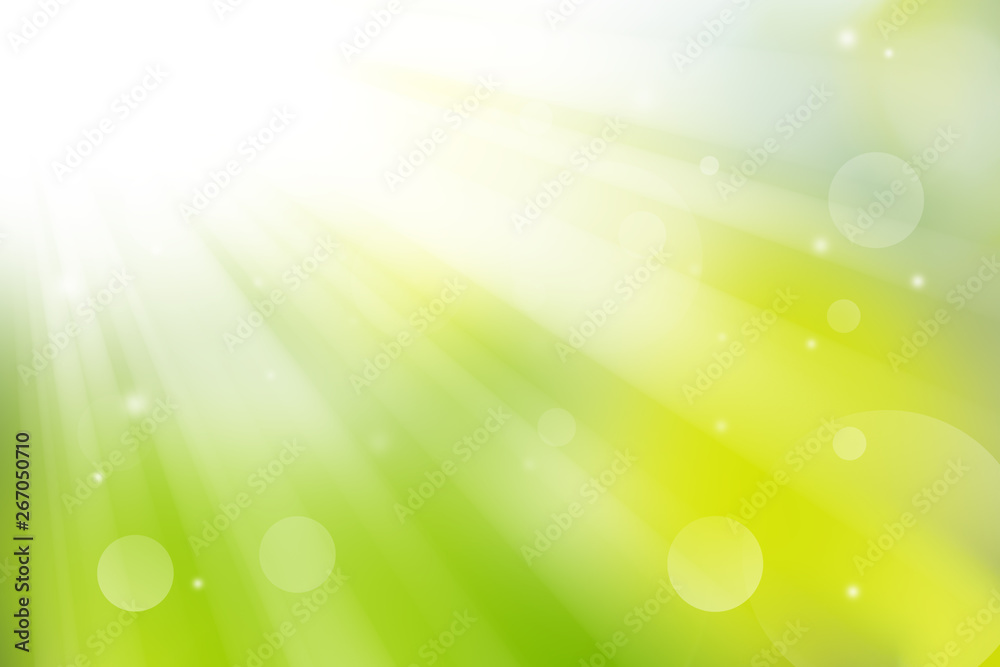 Colorful and soft light abstract background, soft light and bokeh abstract background Colorful and soft light abstract background, soft light and bokeh abstract background