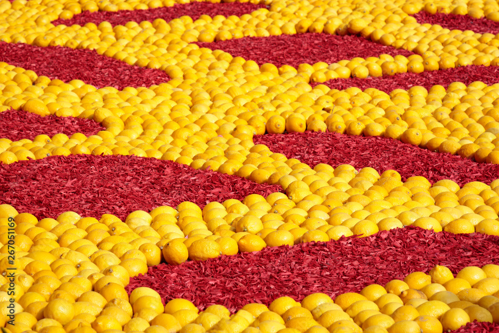 Bed of lemons at the Menton Lemon Festival Bed of lemons at the Menton Lemon Festival