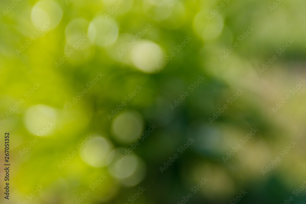 Green natural blurred abstract background