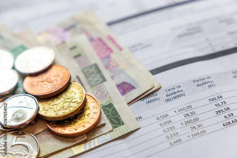 Bill for - Business Concept - Financial Report and Czech money Bill for - Business Concept - Financial Report and Czech money