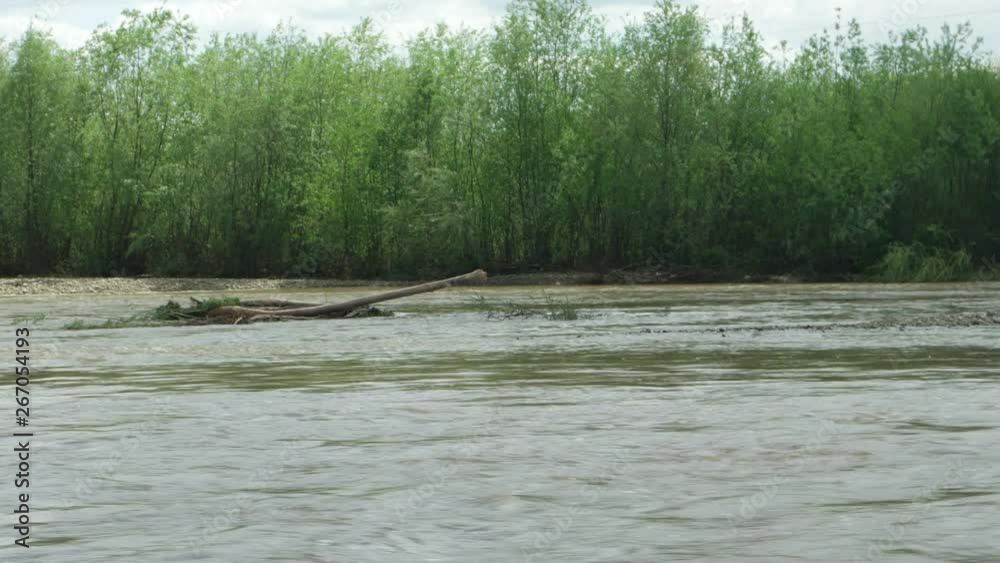 Mountain river at the time of the spring flood against the background of the forest on the riverside Mountain river at the time of the spring flood against the background of the forest on the riverside