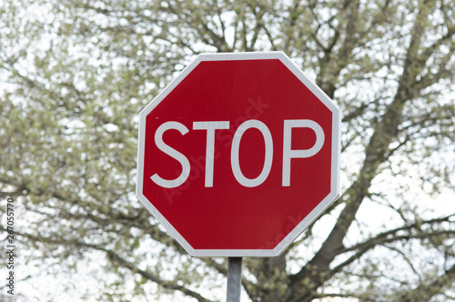 Red stop traffic sign, with trees in the background © photosis