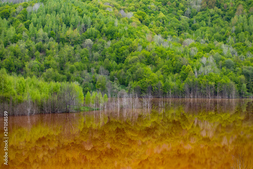 Ecological disaster: cyanide pollution at Geamana Lake near Rosia Montana, Romania