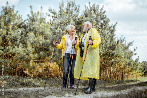 Happy senior couple in yellow raincoats hiking with trekking sticks in the young pine forest. Concept of an active lifestyle on retirement