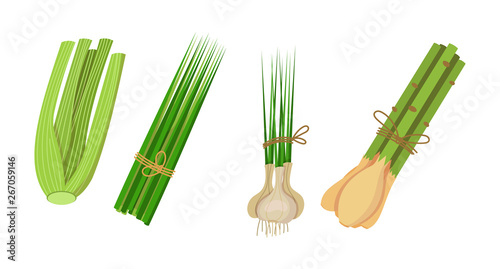 Healthy, environmentally friendly natural vegetation. Celery, lemongrass, chives, garlic.