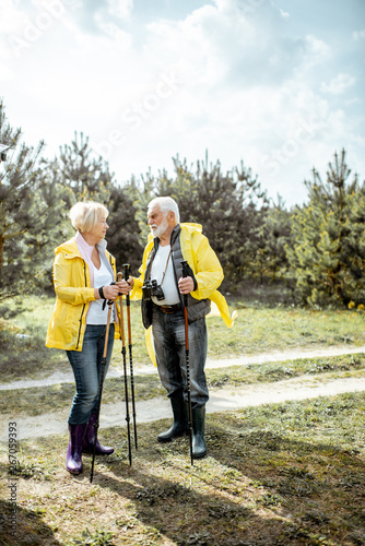 Portrait of a happy senior couple in yellow raincoats hiking with trekking sticks in the young pine forest. Concept of an active lifestyle on retirement