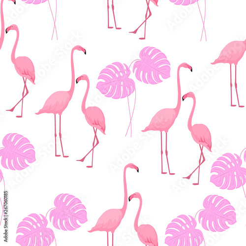 Graceful flamingos and monstera leaves. Tropical summer background