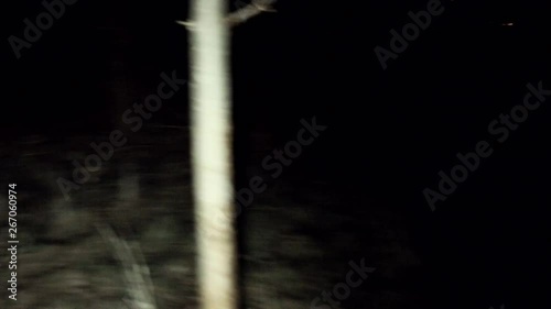 POV shot walking/running through dark spooky forest at nightEscaping from monsters or other scary stuff through the forest, with tree branches all around. Someone is chasing and you're getting away.